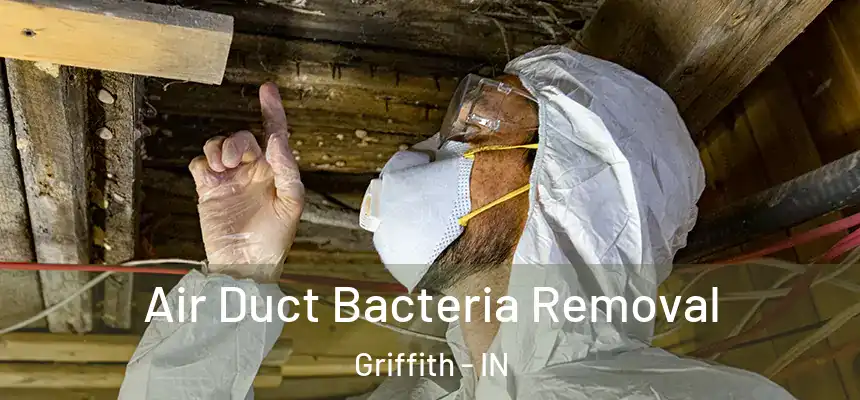  Air Duct Bacteria Removal Griffith - IN