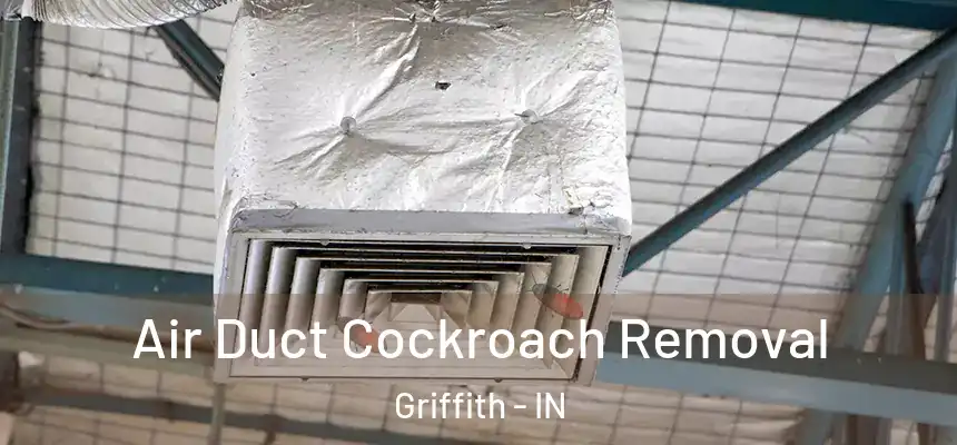  Air Duct Cockroach Removal Griffith - IN