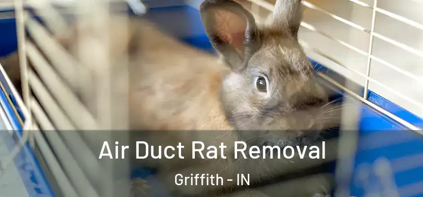  Air Duct Rat Removal Griffith - IN