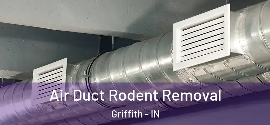  Air Duct Rodent Removal Griffith - IN
