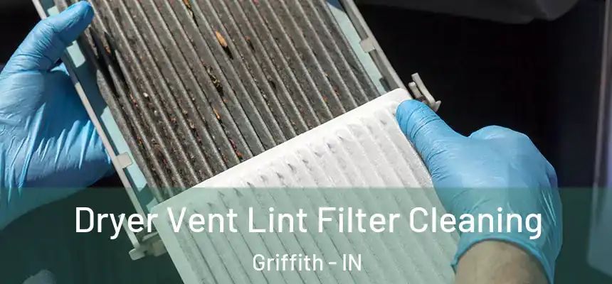  Dryer Vent Lint Filter Cleaning Griffith - IN
