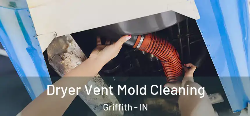  Dryer Vent Mold Cleaning Griffith - IN
