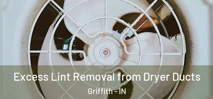  Excess Lint Removal from Dryer Ducts Griffith - IN