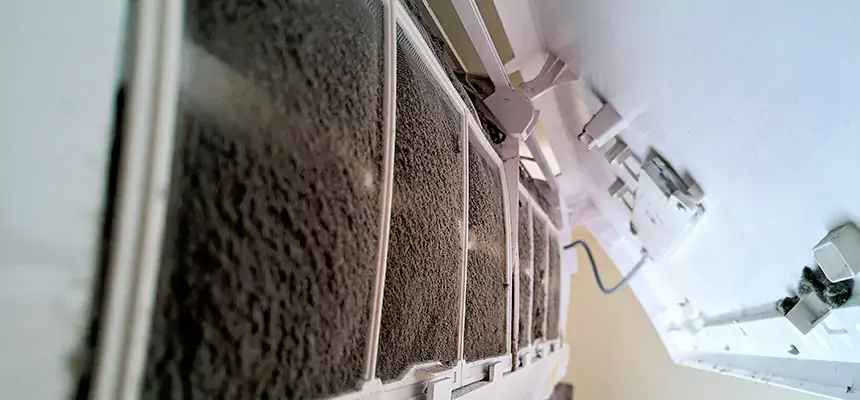 Preventive Air Duct Bacteria Removal in Griffith