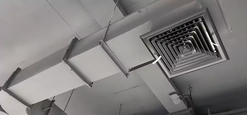 Restorative Allergy Relief Vent Cleaning – Coil, Blower & Housing Detail in Griffith