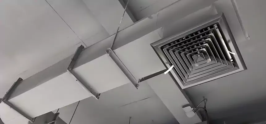 Our Pest Removal From Ducts Services in Griffith, IN