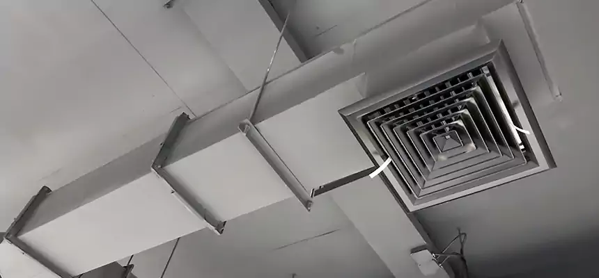 Our Rodent Droppings In Vents Services in Griffith, IN