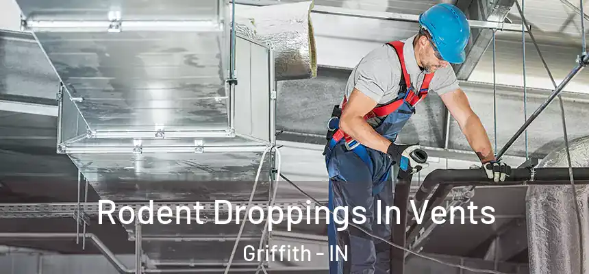  Rodent Droppings In Vents Griffith - IN