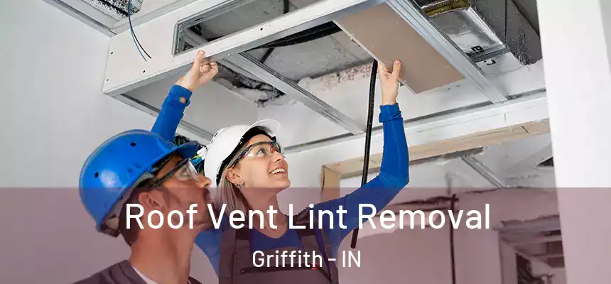 Roof Vent Lint Removal Griffith - IN