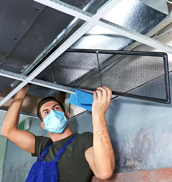 About Air Duct Bacteria Removal in Griffith