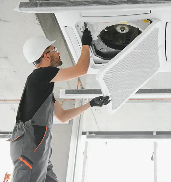 About Air Duct Rodent Removal in Griffith, IN