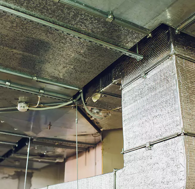 Why Homeowners & Businesses Trust Us in Griffith, IN?